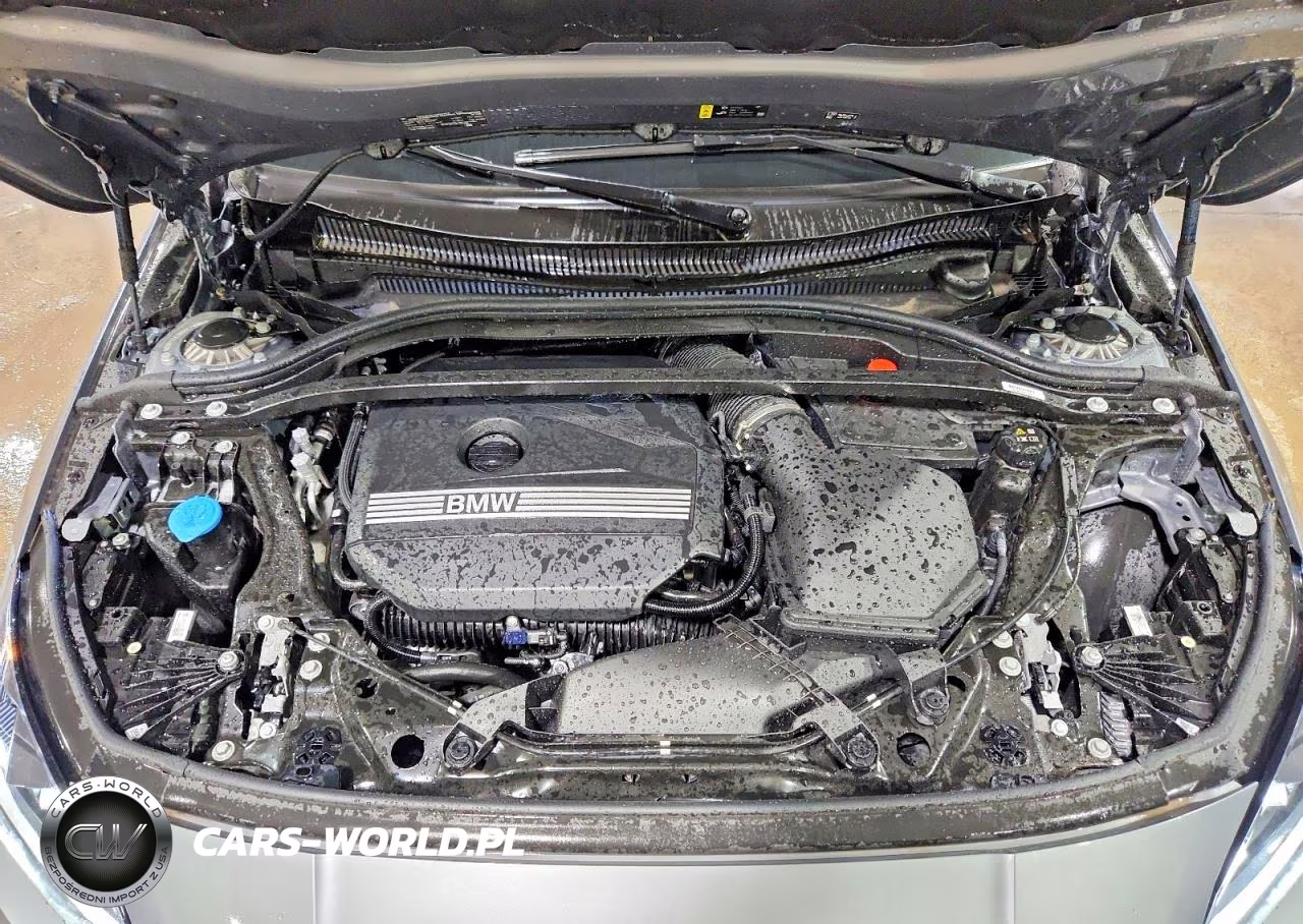 2026 BMW 228Xi VIN:WBA23GG06T7V24860 - 11
