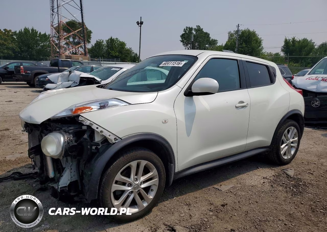2013 Nissan Juke S-Sv-Sl VIN:JN8AF5MR0DT207490 - 1