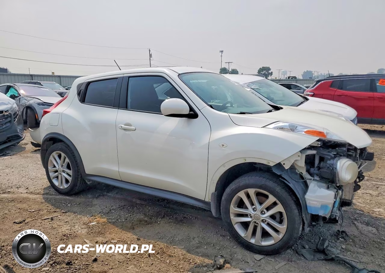 2013 Nissan Juke S-Sv-Sl VIN:JN8AF5MR0DT207490 - 4