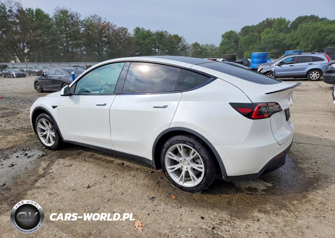 2020 Tesla Model Y VIN:5YJYGDEE2LF035946 - 2