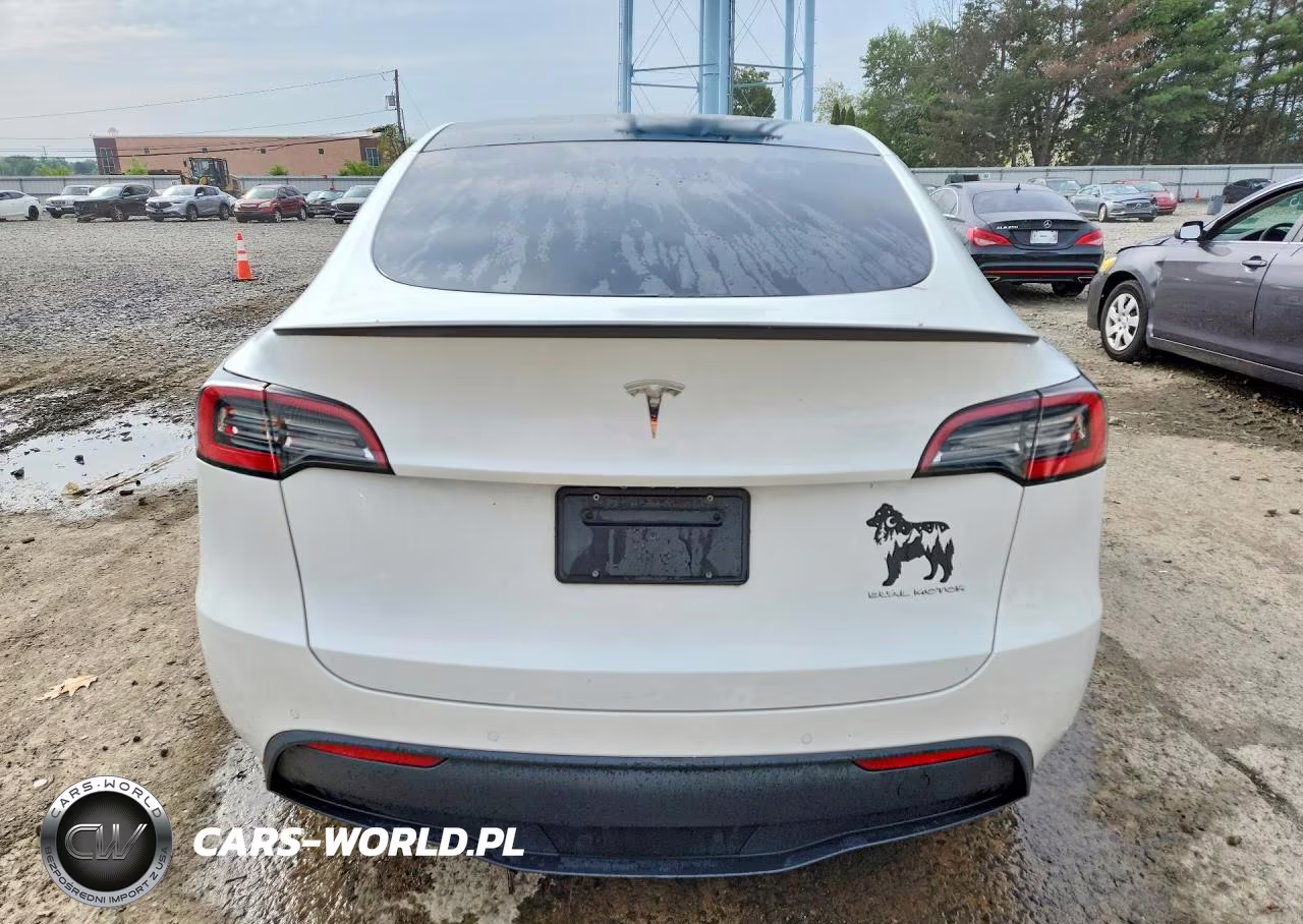 2020 Tesla Model Y VIN:5YJYGDEE2LF035946 - 6