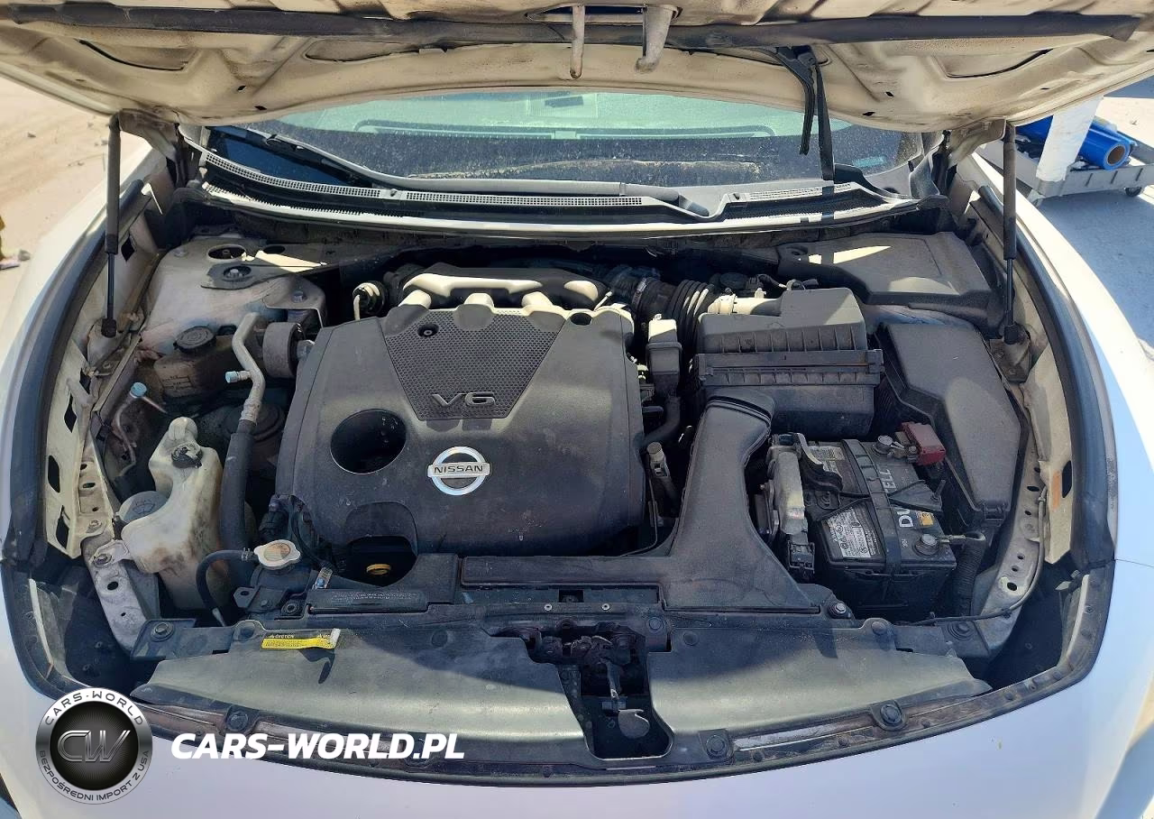 2009 Nissan Maxima VIN:1N4AA51E89C804802 - 11