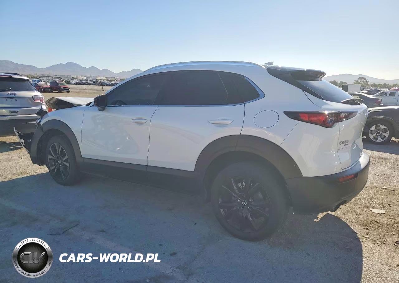 2021 Mazda Cx-30 Premium Plus VIN:3MVDMBEY2MM252608 - 2