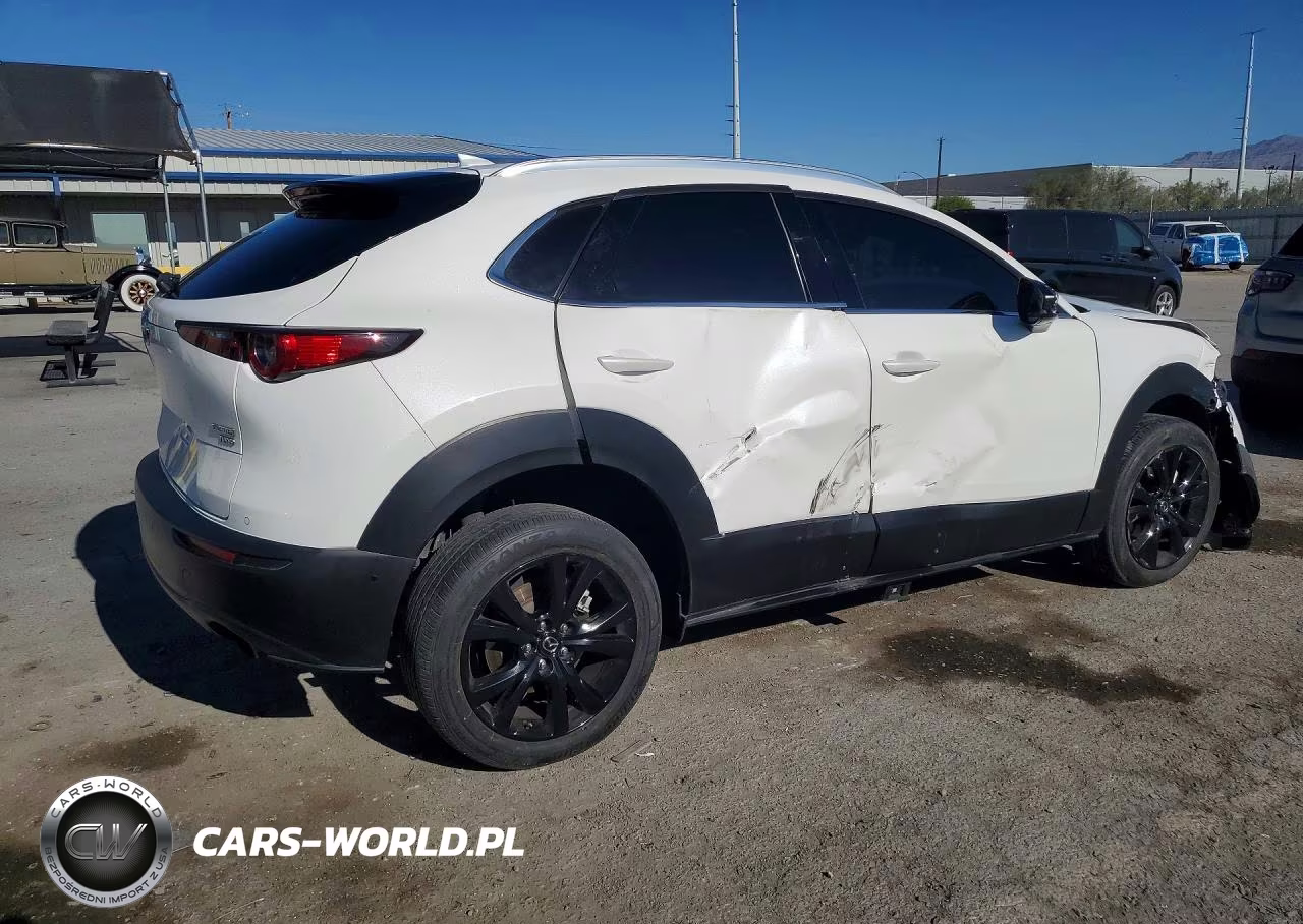 2021 Mazda Cx-30 Premium Plus VIN:3MVDMBEY2MM252608 - 3