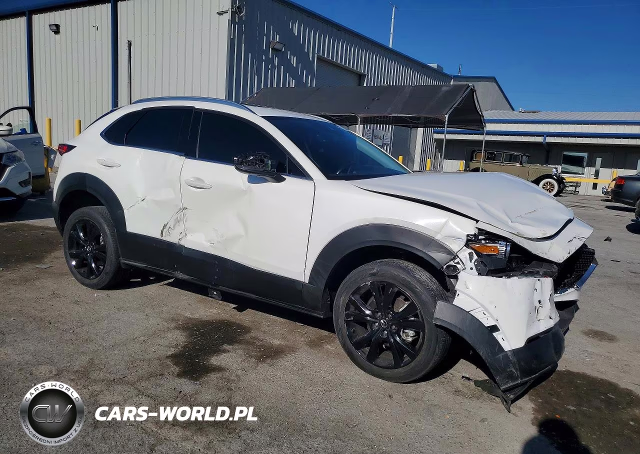 2021 Mazda Cx-30 Premium Plus VIN:3MVDMBEY2MM252608 - 4