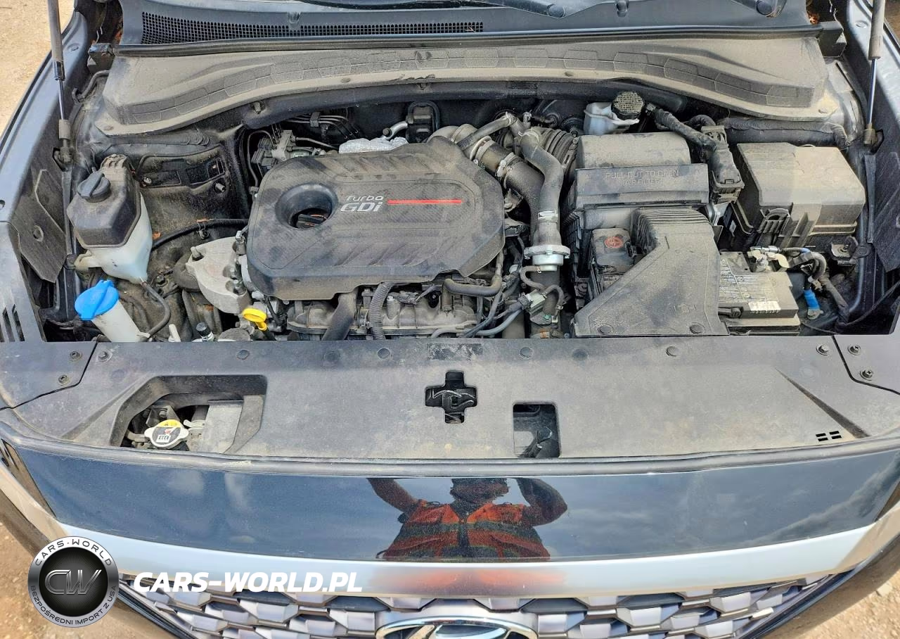 2020 Hyundai Santa Fe Sel 2.0T VIN:5NMS3CAA8LH169860 - 11