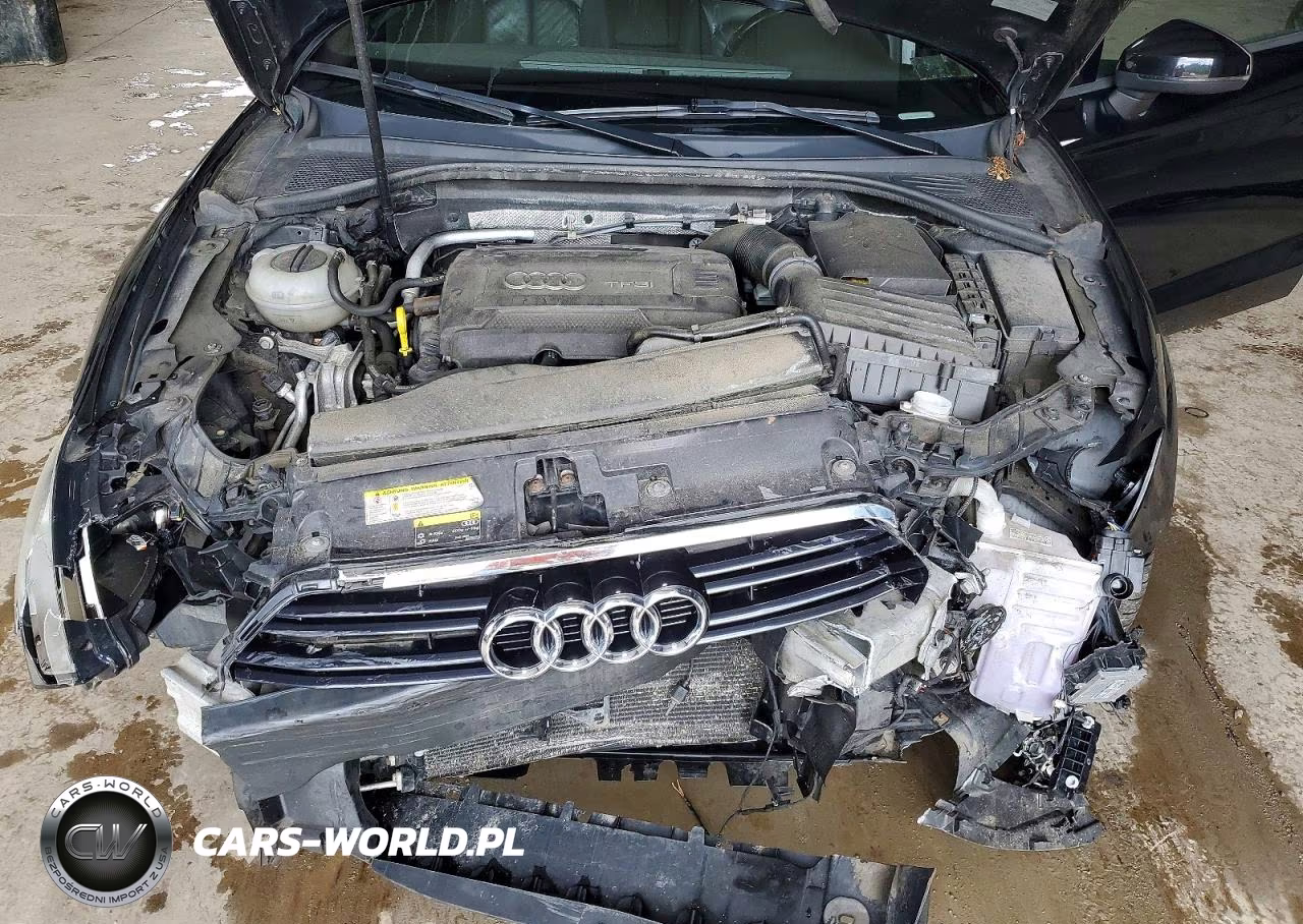 2017 Audi A3 Premium VIN:WAUB8GFF3H1046804 - 11