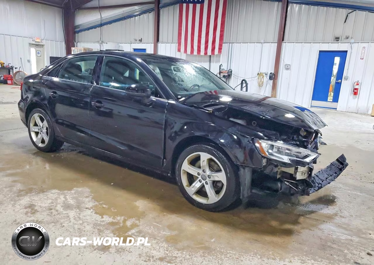 2017 Audi A3 Premium VIN:WAUB8GFF3H1046804 - 4