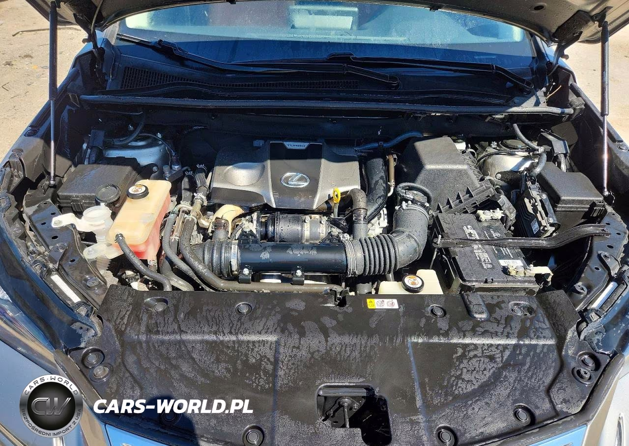 2019 Lexus Nx 300 Base VIN:JTJBARBZ8K2202269 - 11
