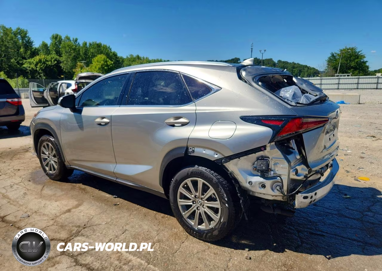 2019 Lexus Nx 300 Base VIN:JTJBARBZ8K2202269 - 2