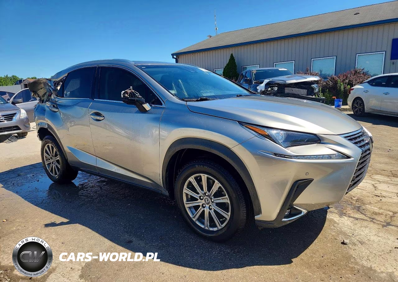 2019 Lexus Nx 300 Base VIN:JTJBARBZ8K2202269 - 4