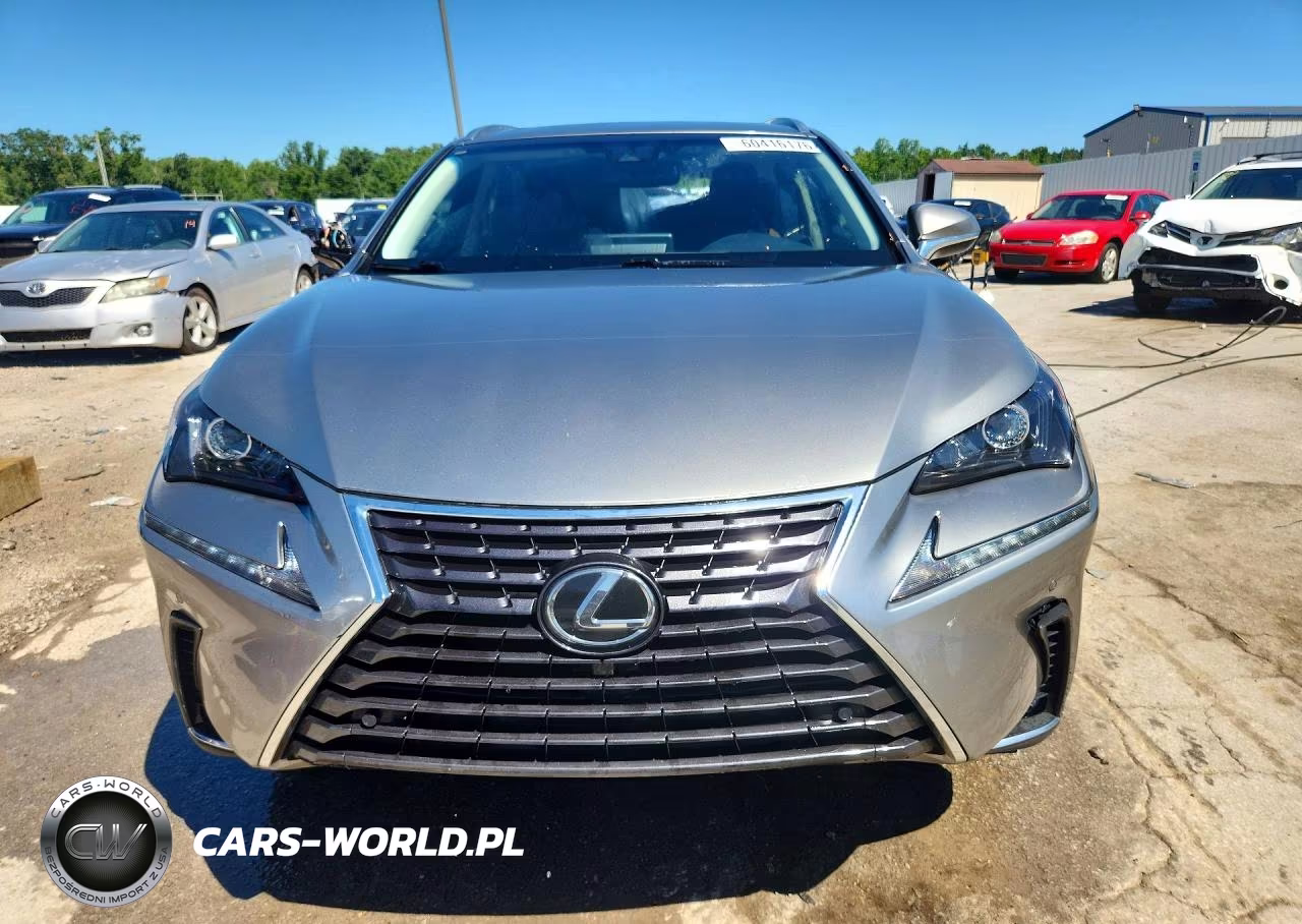 2019 Lexus Nx 300 Base VIN:JTJBARBZ8K2202269 - 5