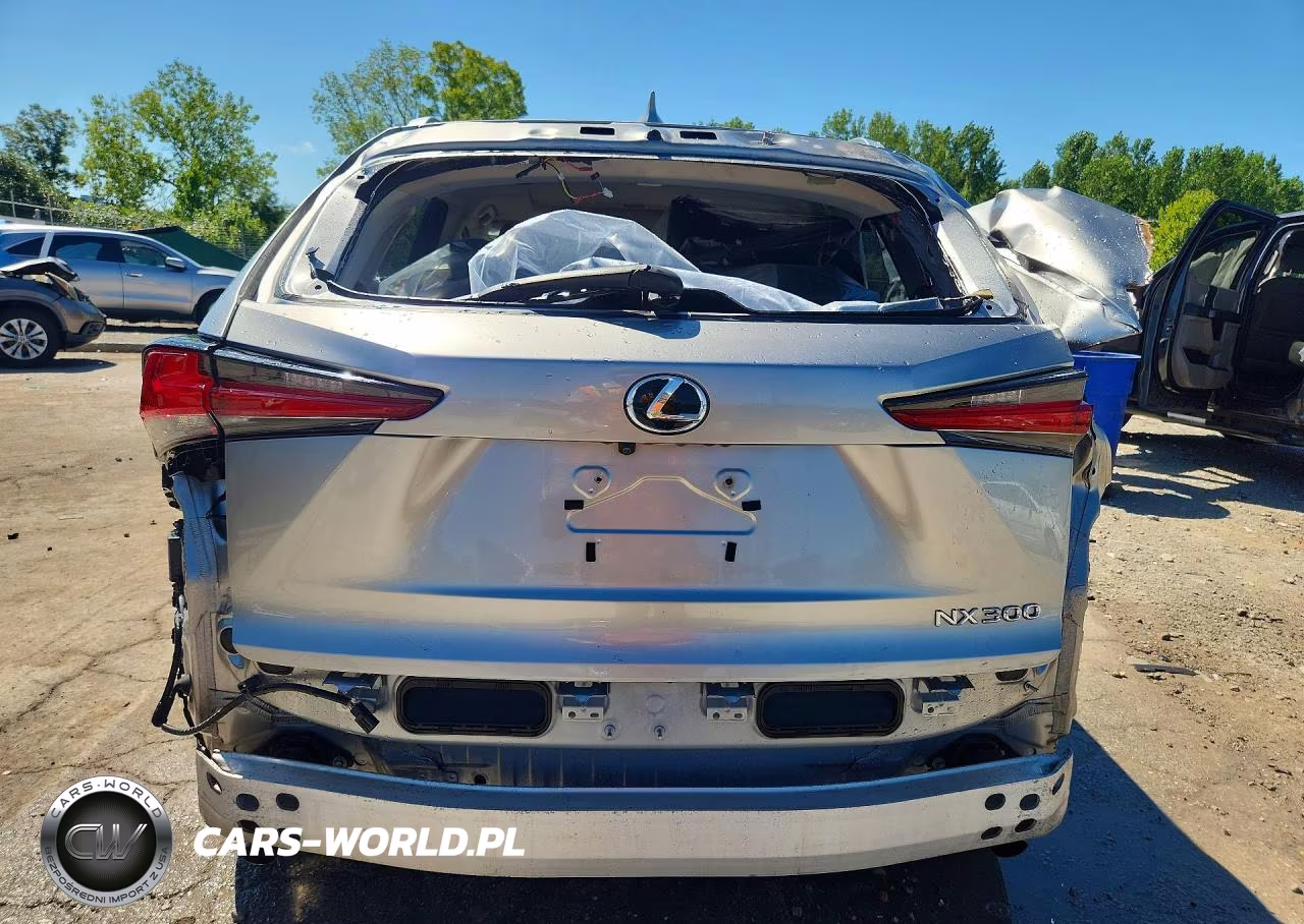 2019 Lexus Nx 300 Base VIN:JTJBARBZ8K2202269 - 6