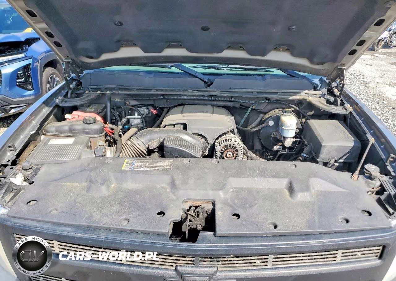 2009 Chevrolet Silverado K1500 VIN:1GCEK19C29Z167164 - 11