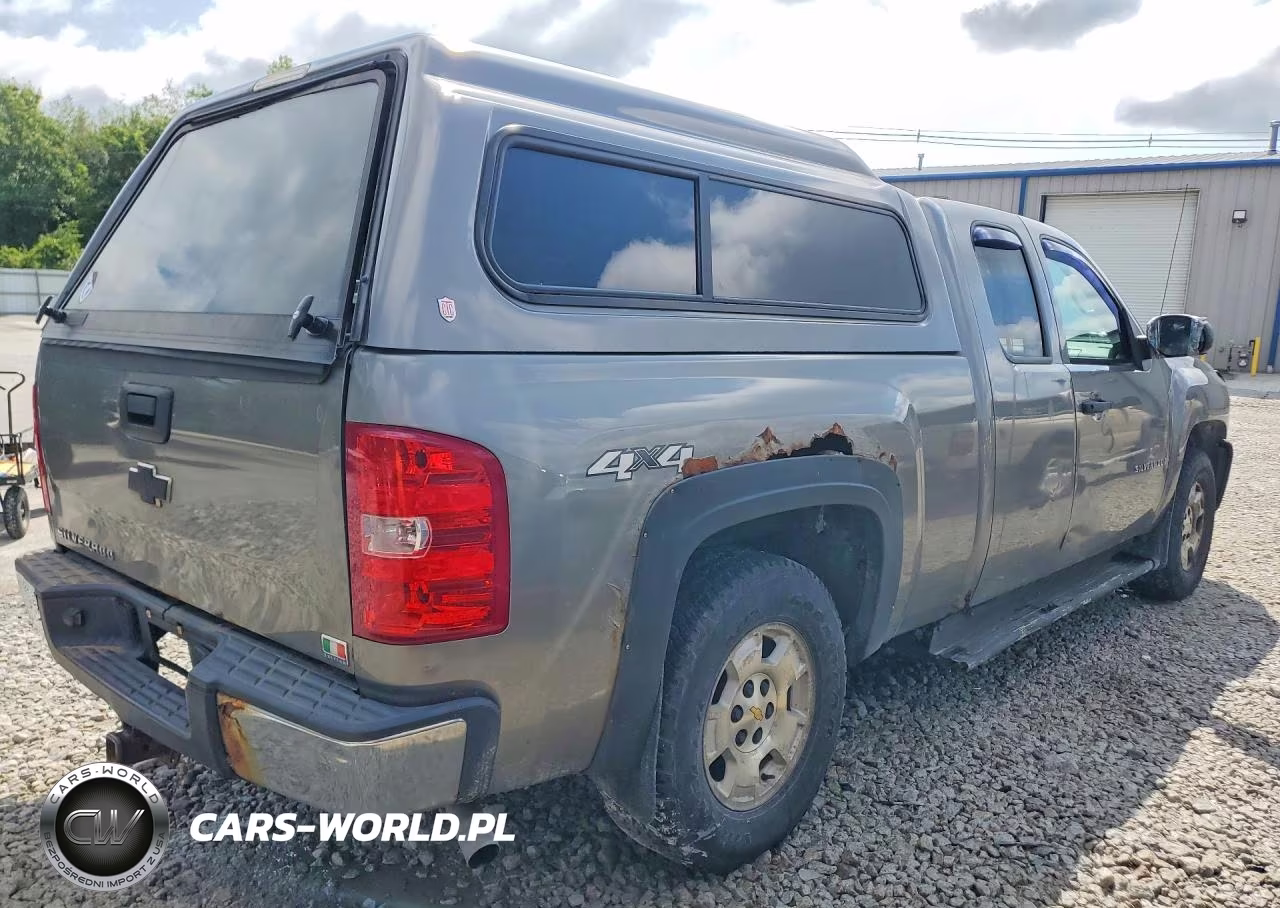 2009 Chevrolet Silverado K1500 VIN:1GCEK19C29Z167164 - 3