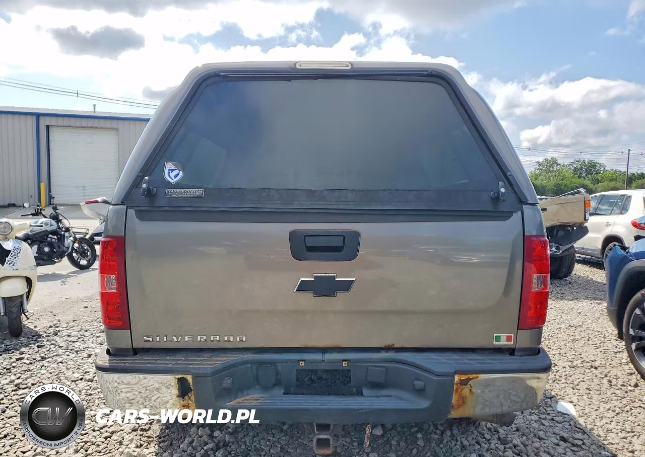 2009 Chevrolet Silverado K1500 VIN:1GCEK19C29Z167164 - 6