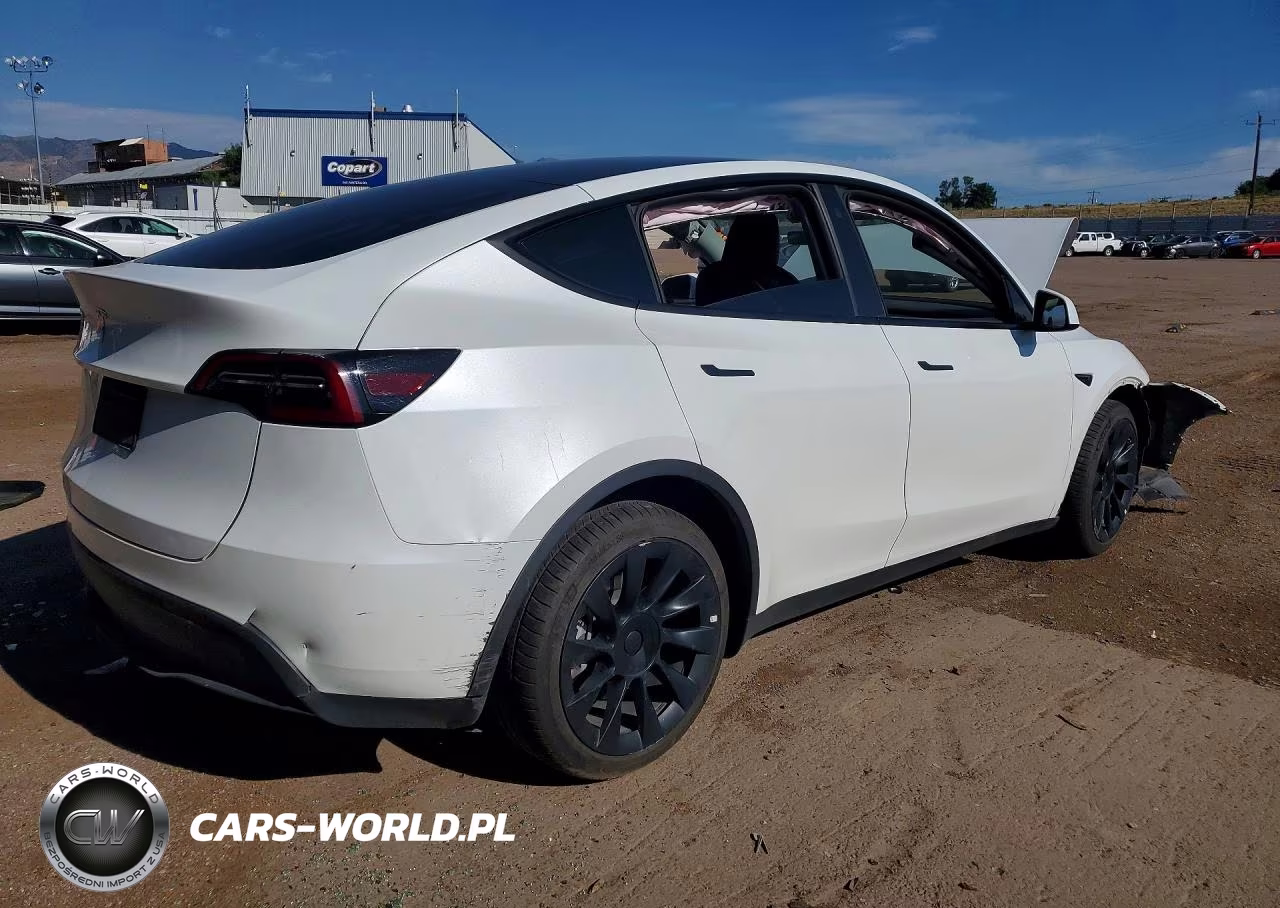 2023 Tesla Model Y VIN:7SAYGDEE6PA075937 - 3