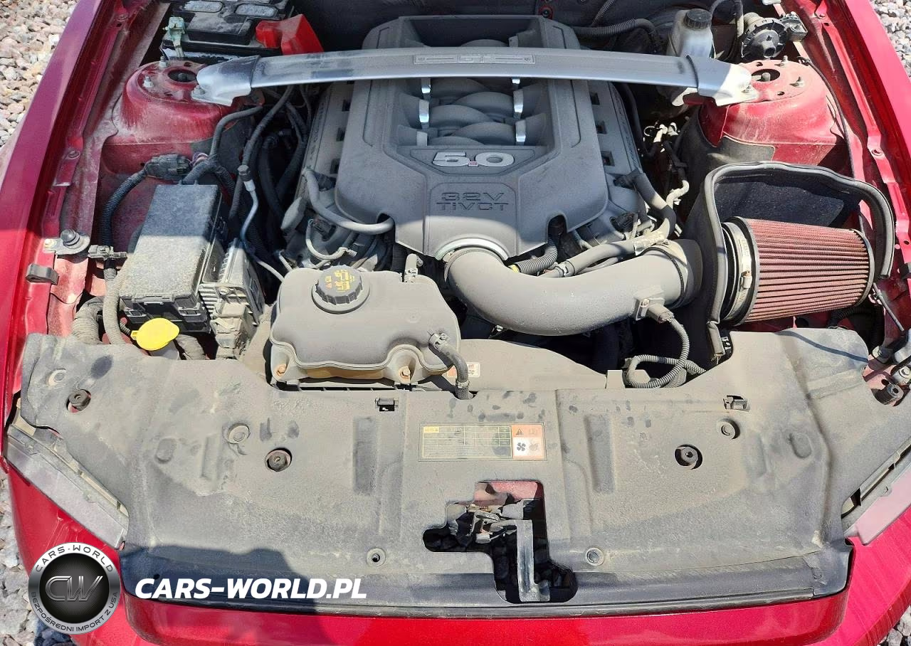 2013 Ford Mustang Gt VIN:1ZVBP8CF6D5245006 - 11