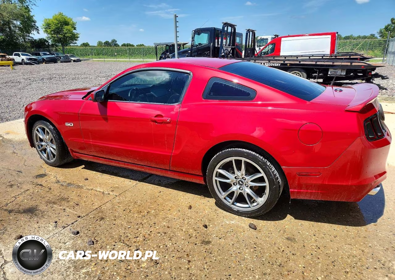 2013 Ford Mustang Gt VIN:1ZVBP8CF6D5245006 - 2
