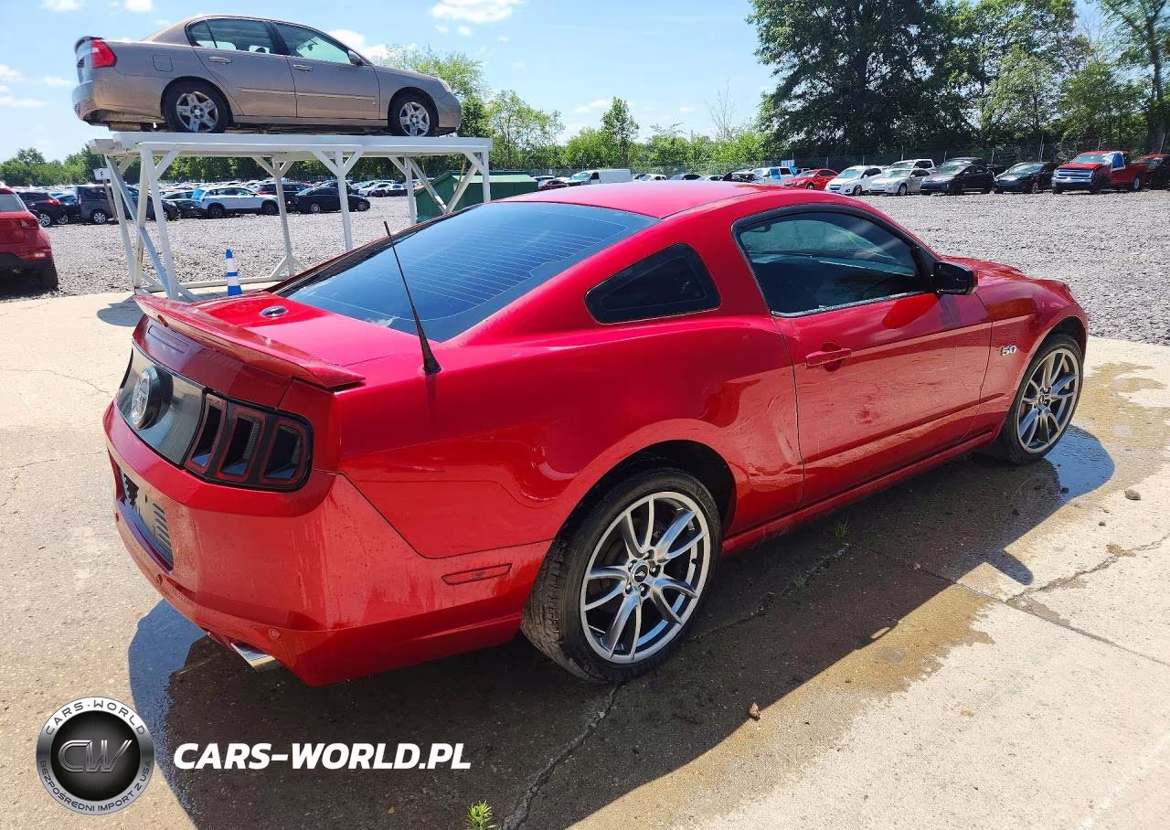 2013 Ford Mustang Gt VIN:1ZVBP8CF6D5245006 - 3