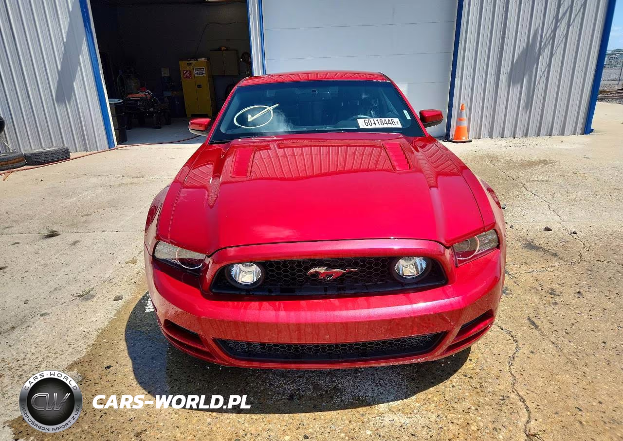 2013 Ford Mustang Gt VIN:1ZVBP8CF6D5245006 - 5