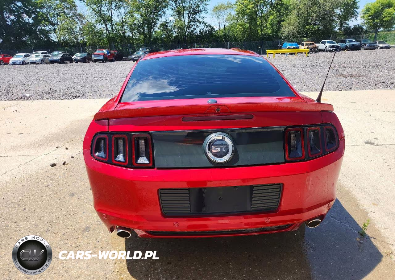 2013 Ford Mustang Gt VIN:1ZVBP8CF6D5245006 - 6