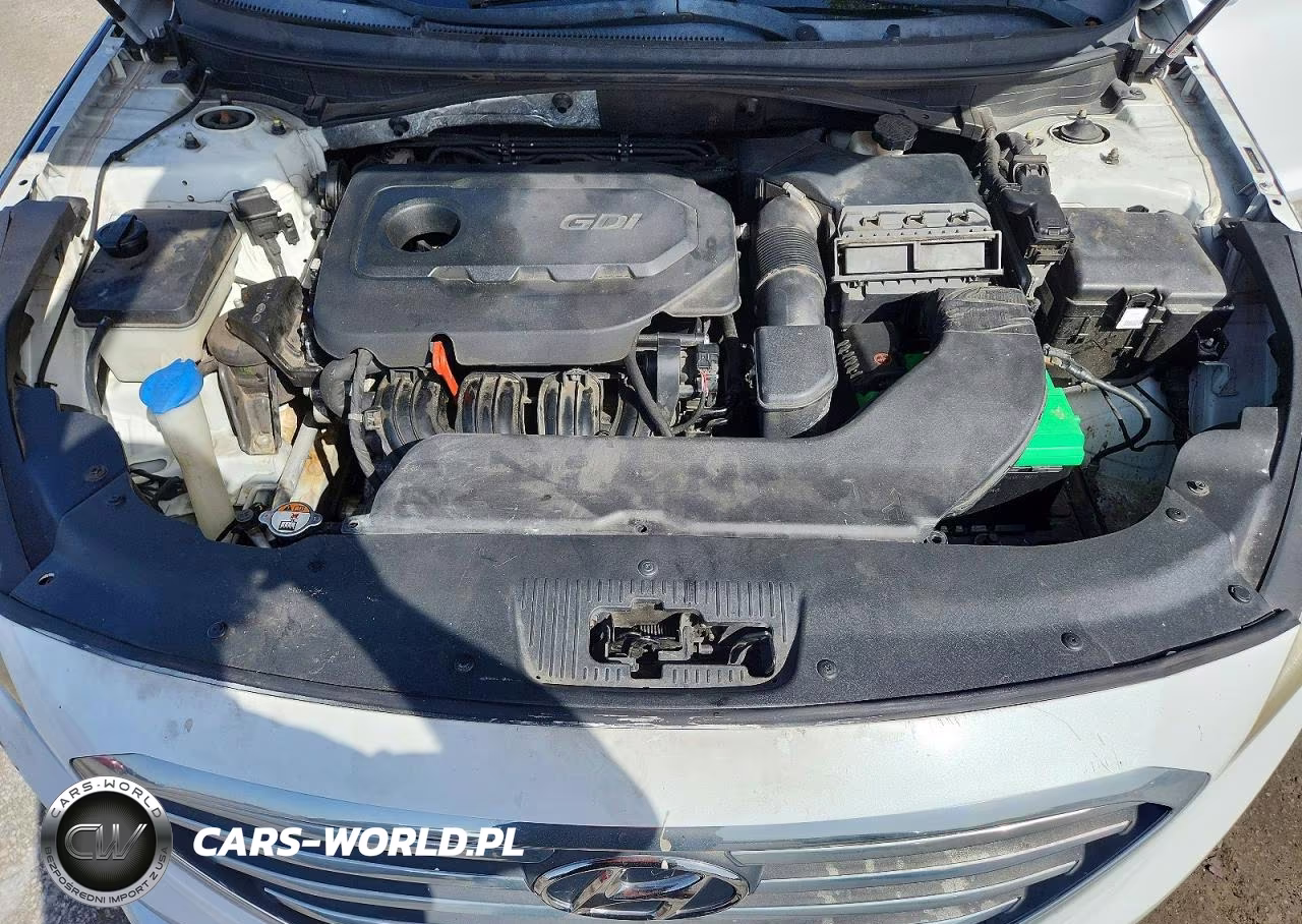 2015 Hyundai Sonata Se VIN:5NPE24AF0FH172471 - 11
