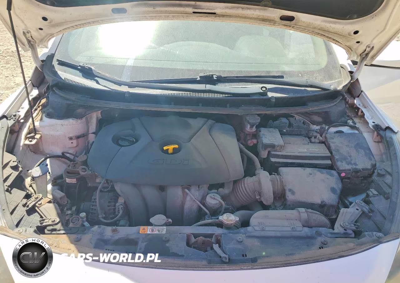 2016 Hyundai Elantra Gt Base VIN:KMHD35LH4GU263923 - 11