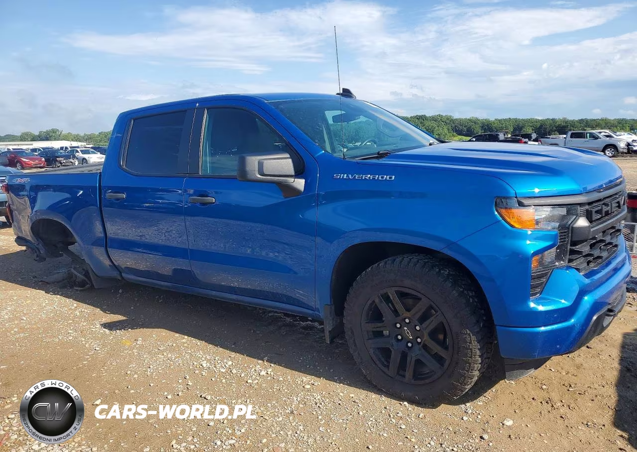 2022 Chevrolet Silverado K1500 Custom VIN:1GCPDBEK4NZ607725 - 4
