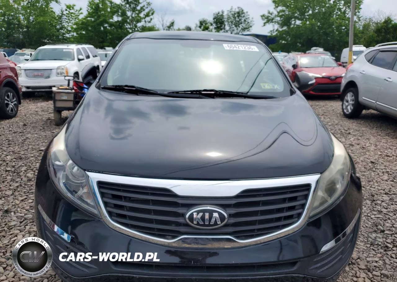 2013 Kia Sportage Lx VIN:KNDPBCA23D7400173 - 5