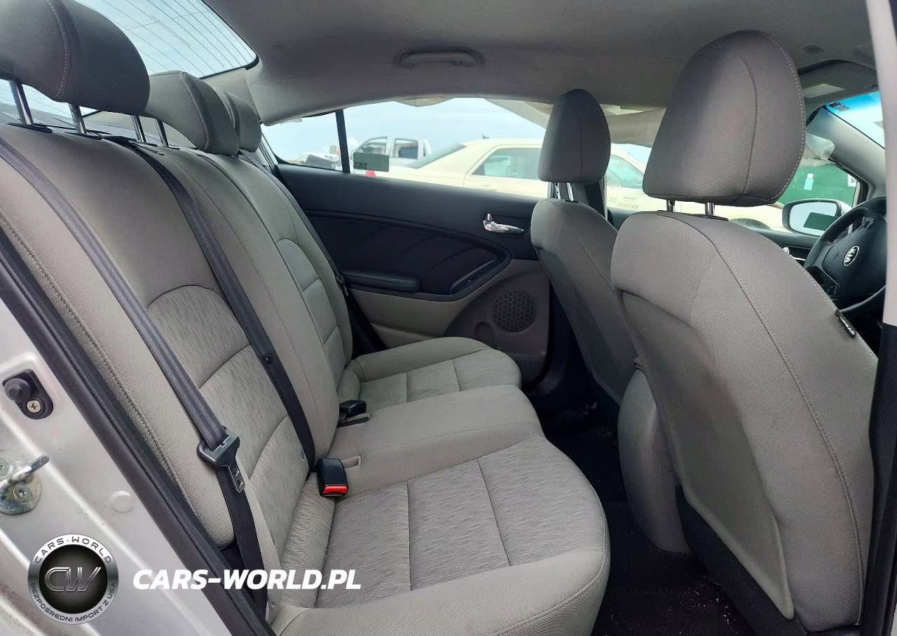 2014 Kia Forte Lx VIN:KNAFK4A65E5144830 - 10