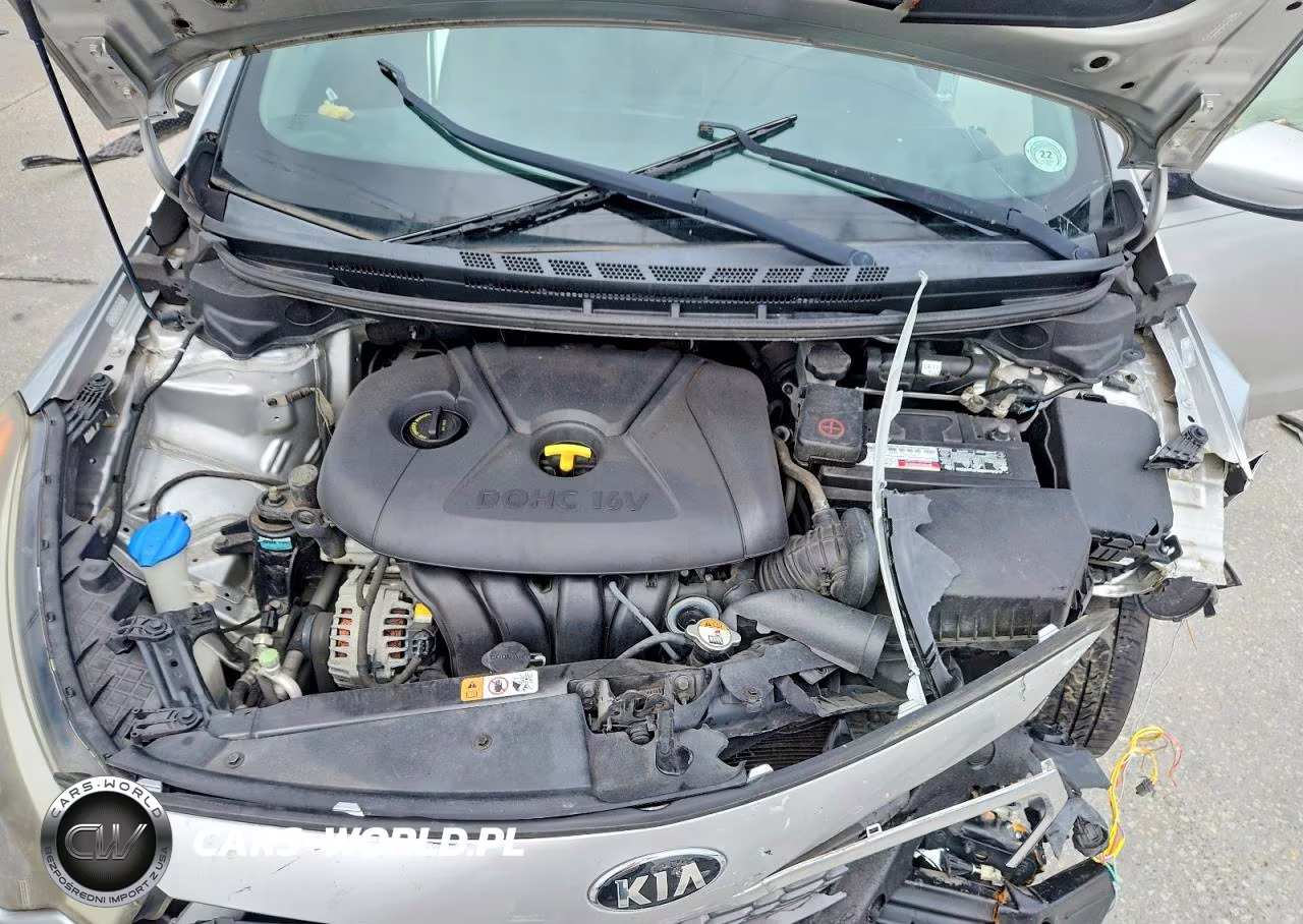 2014 Kia Forte Lx VIN:KNAFK4A65E5144830 - 11