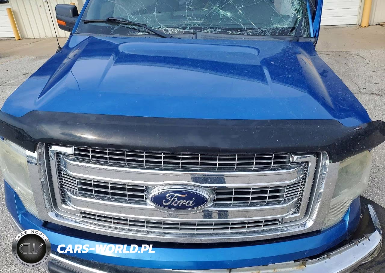 2014 Ford F150 Supercrew VIN:1FTFW1ET2EFC49745 - 11