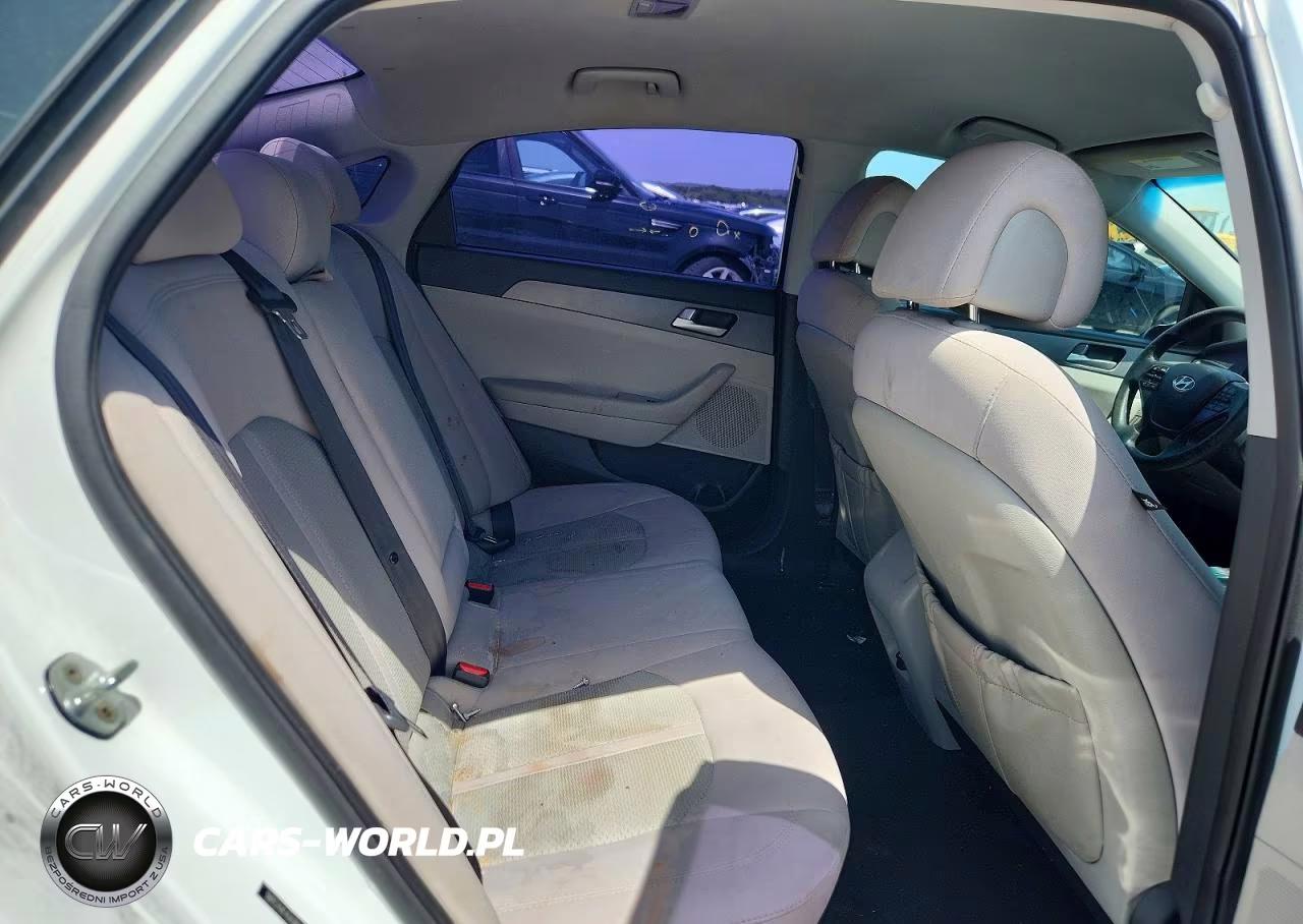 2016 Hyundai Sonata Se VIN:5NPE24AF4GH382900 - 10