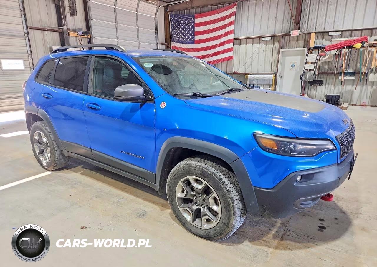2019 Jeep Cherokee Trailhawk VIN:1C4PJMBN3KD481885 - 4