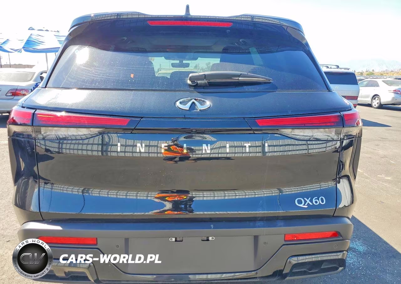 2025 Infiniti Qx60 Luxe VIN:5N1AL1FR6SC355792 - 6