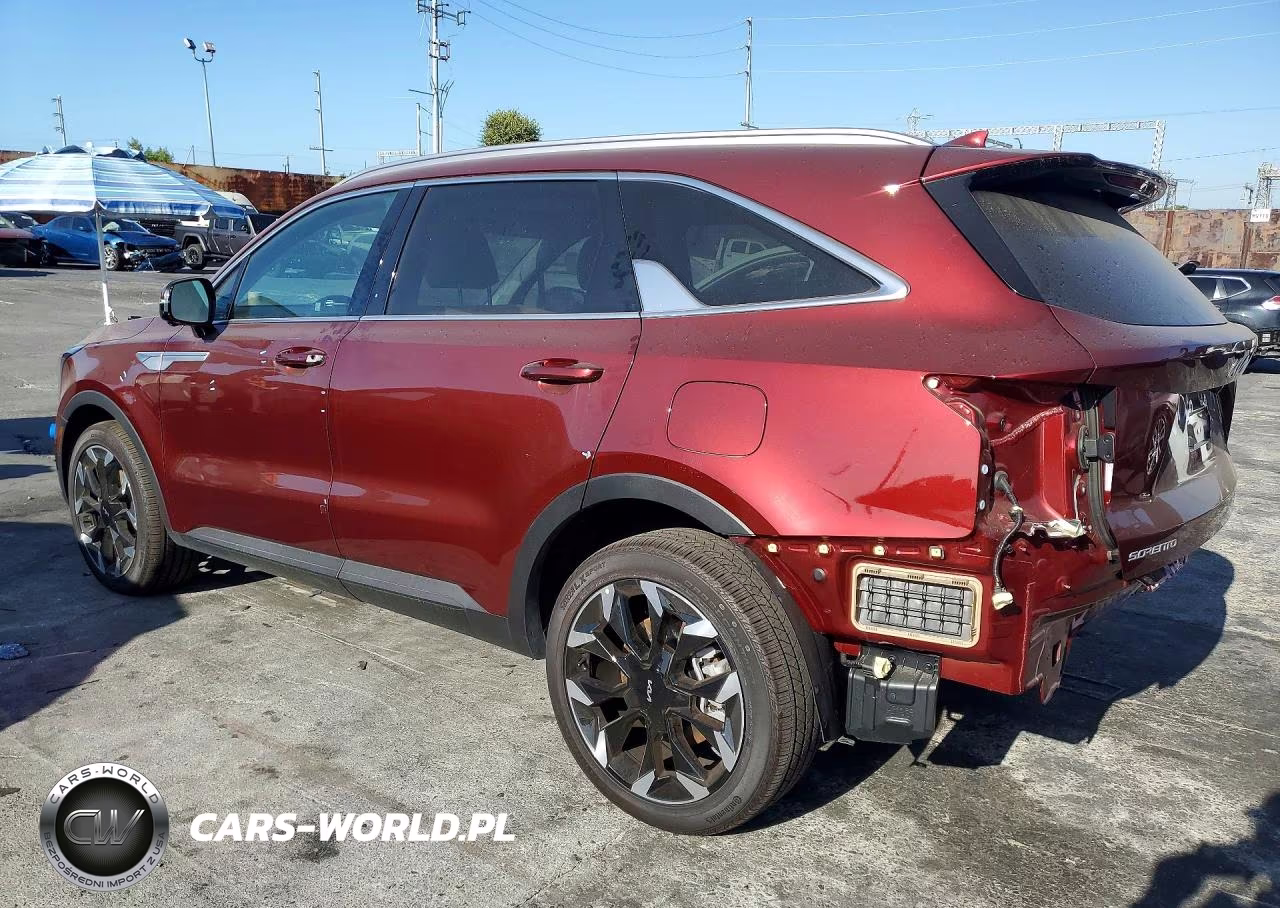 2025 Kia Sorento VIN:5XYRK4JFXSG315719 - 2