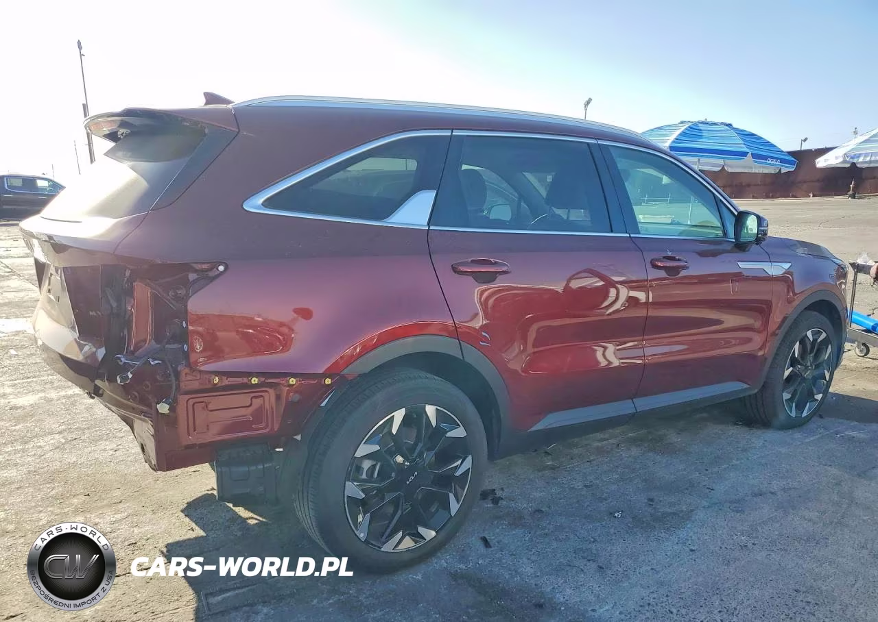 2025 Kia Sorento VIN:5XYRK4JFXSG315719 - 3