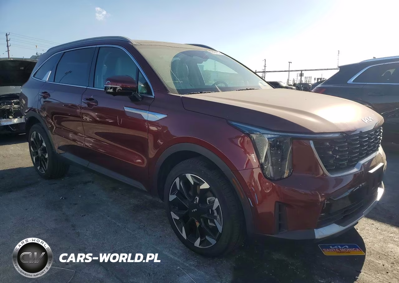 2025 Kia Sorento VIN:5XYRK4JFXSG315719 - 4