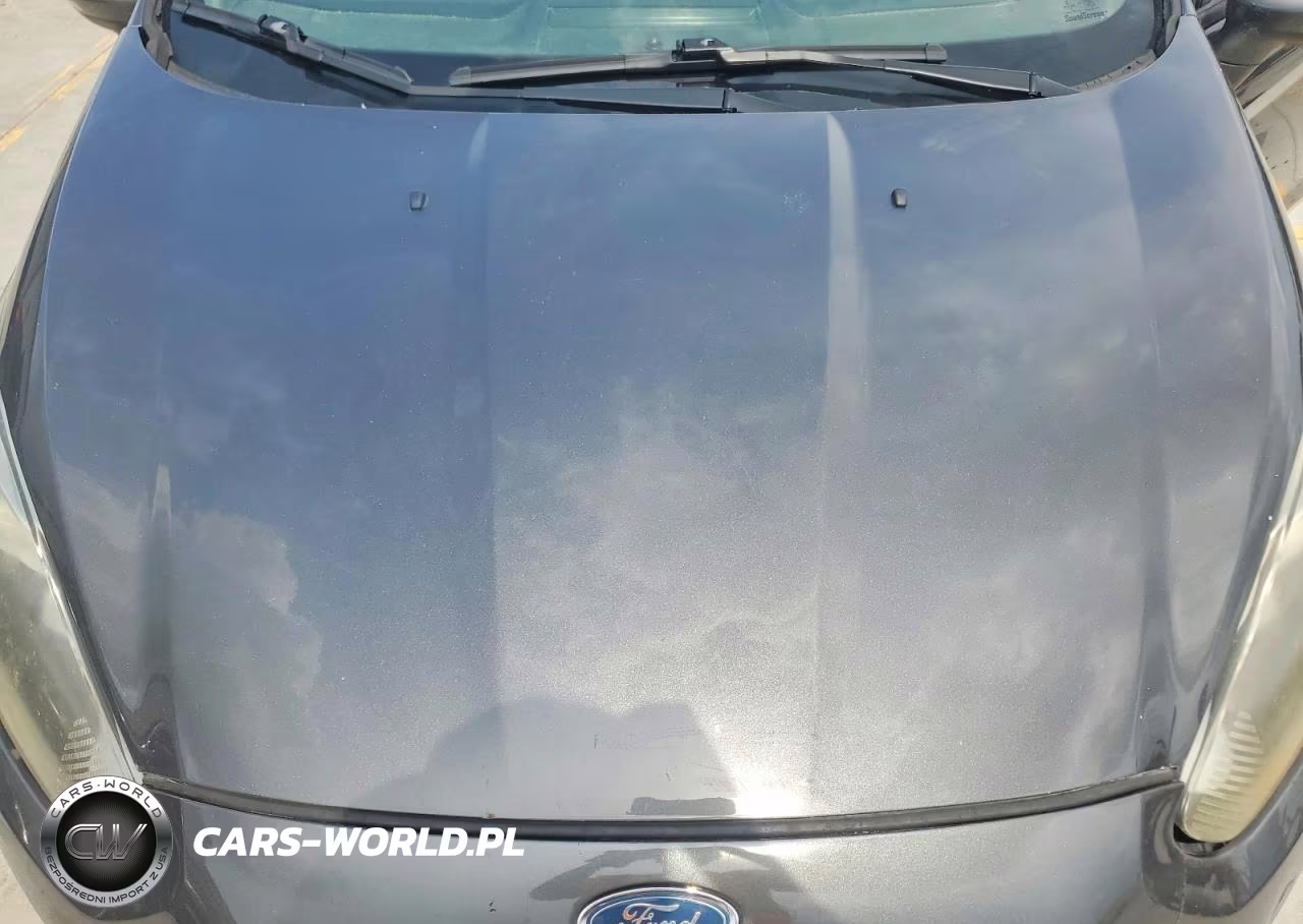 2015 Ford Fiesta Se VIN:3FADP4BJ2FM207785 - 11
