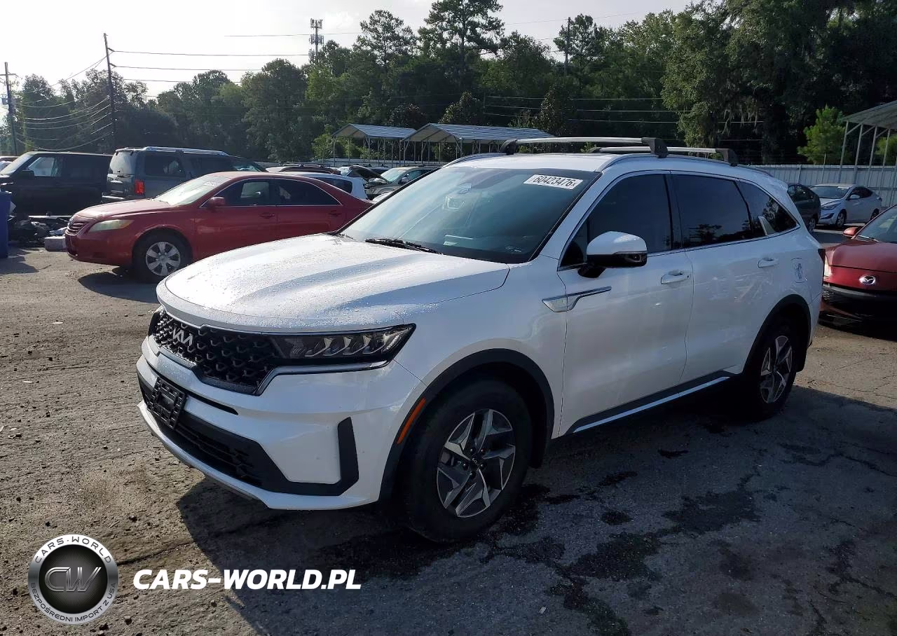 2022 Kia Sorento S VIN:KNDRG4LG5N5081963 - 1