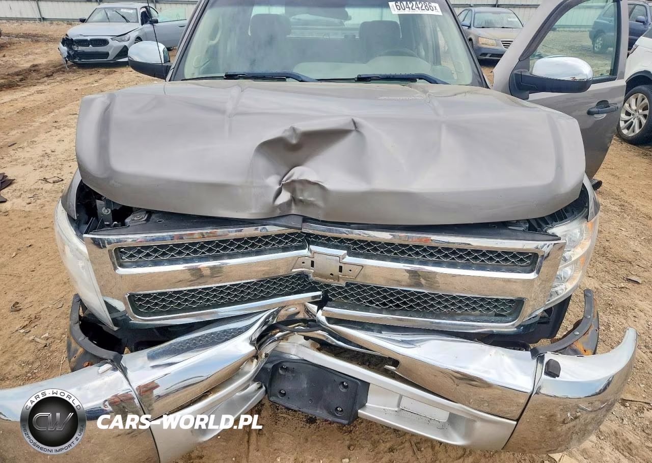 2013 Chevrolet Silverado C1500 VIN:1GCRCPEX0DZ261417 - 11