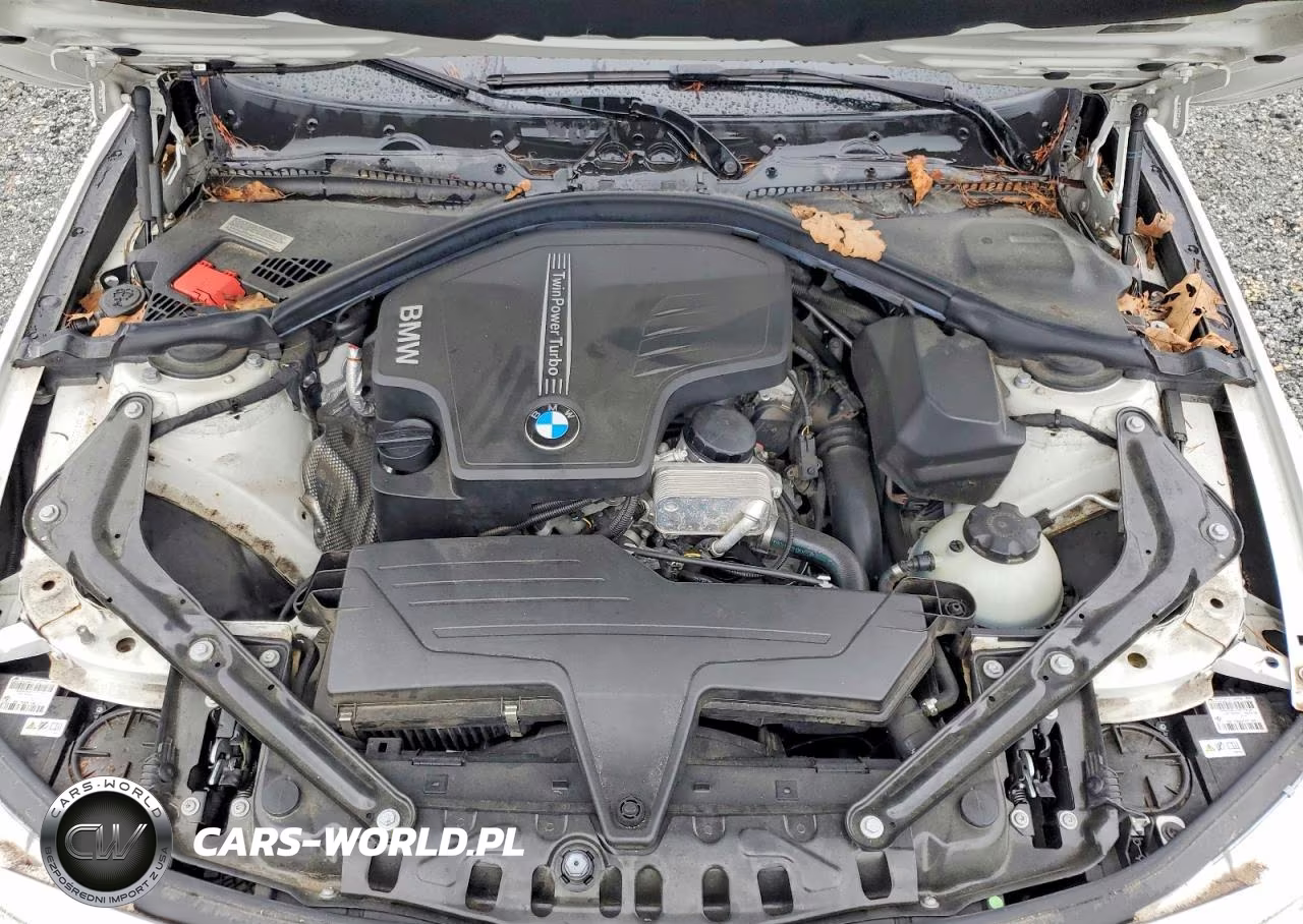 2014 BMW 428 VIN:WBA3V5C56EJ968833 - 11