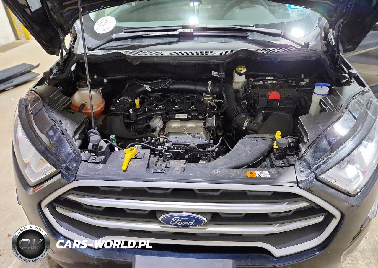2021 Ford Ecosport Se VIN:MAJ3S2GE6MC446992 - 12