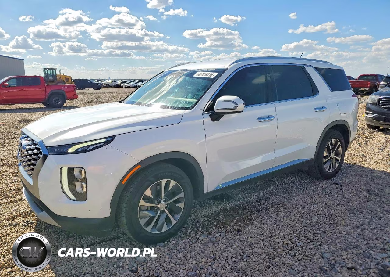 2020 Hyundai Palisade Sel
