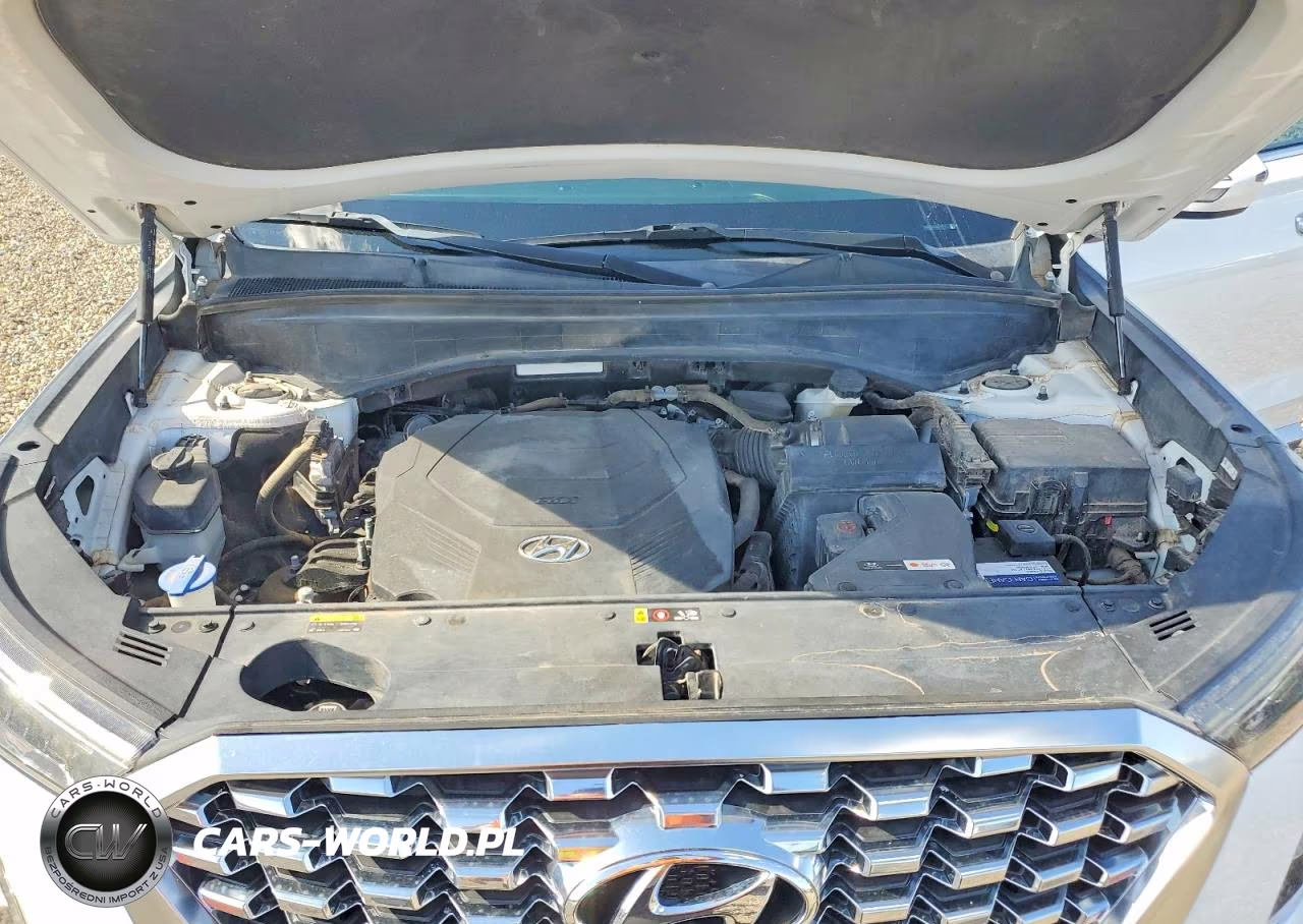 2020 Hyundai Palisade Sel VIN:KM8R24HE7LU143626 - 12