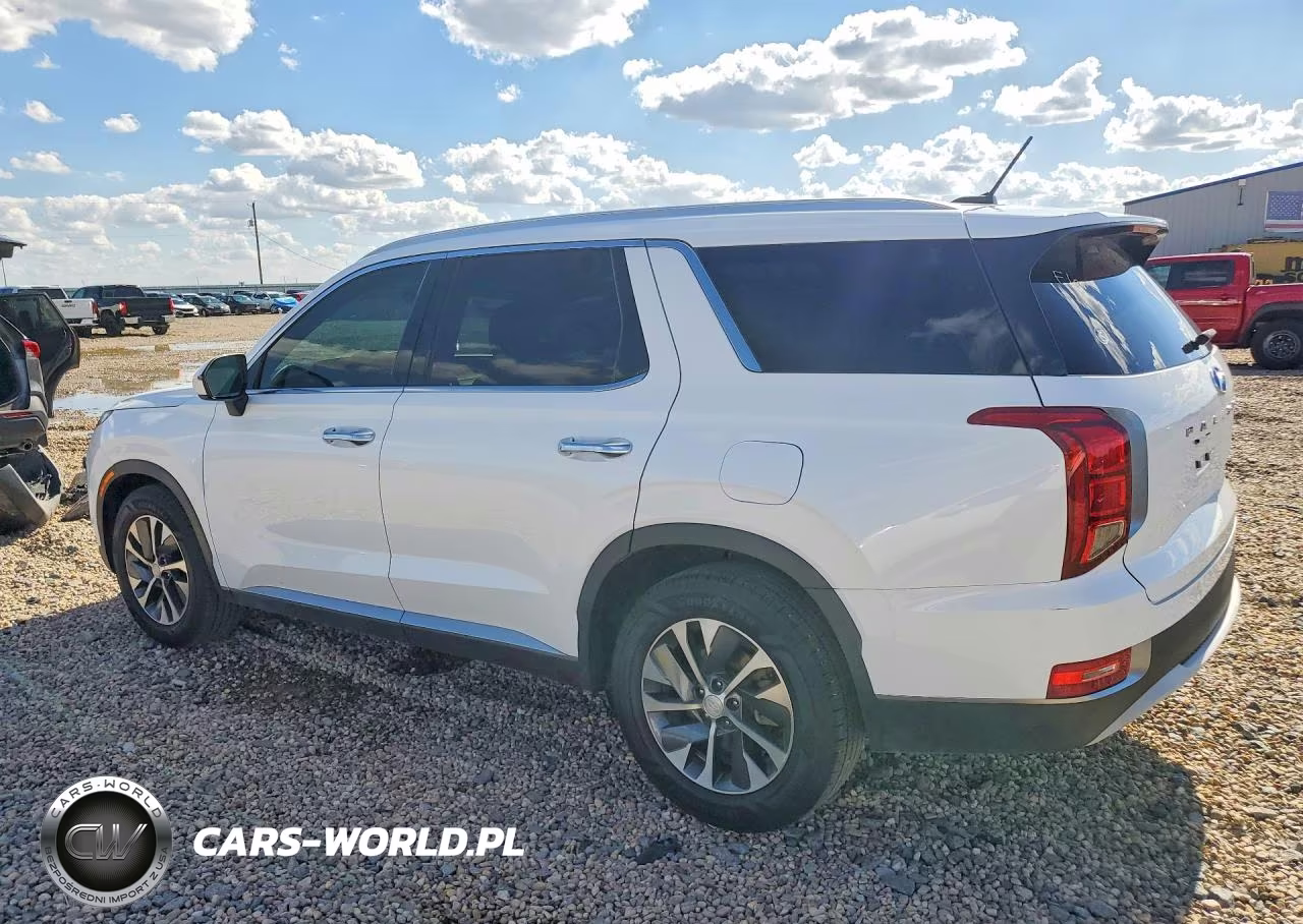 2020 Hyundai Palisade Sel VIN:KM8R24HE7LU143626 - 2