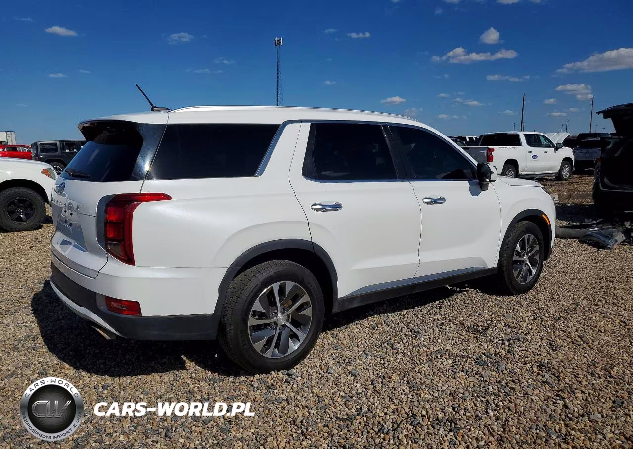 2020 Hyundai Palisade Sel VIN:KM8R24HE7LU143626 - 3