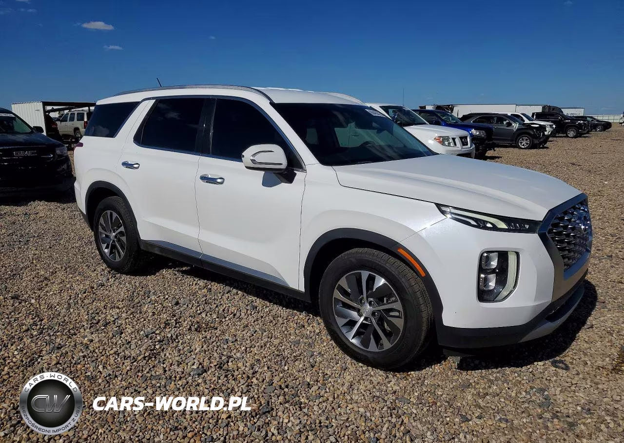 2020 Hyundai Palisade Sel VIN:KM8R24HE7LU143626 - 4