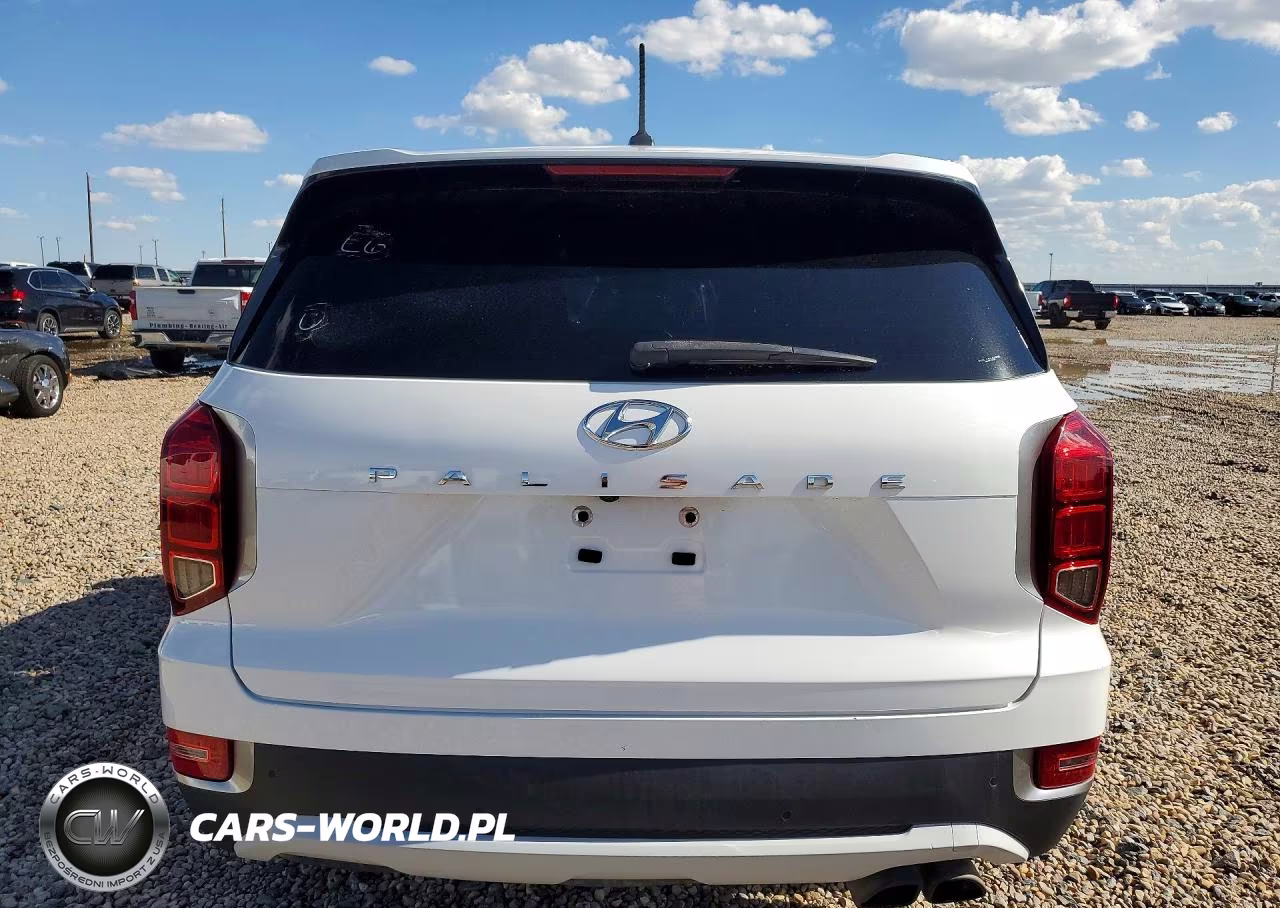 2020 Hyundai Palisade Sel VIN:KM8R24HE7LU143626 - 6